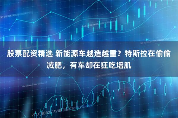 股票配资精选 新能源车越造越重？特斯拉在偷偷减肥，有车却在狂吃增肌